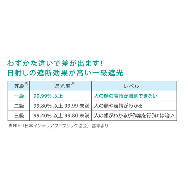6本骨全天候折りたたみ傘 江戸