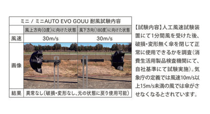 ストレングスミニEVO GOUU